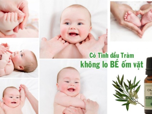 Cách dùng tinh dầu tràm - chống ốm vặt cho trẻ sơ sinh